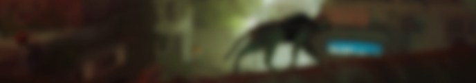 BlogPostDivider-GamesIfYou'reACatPerson
